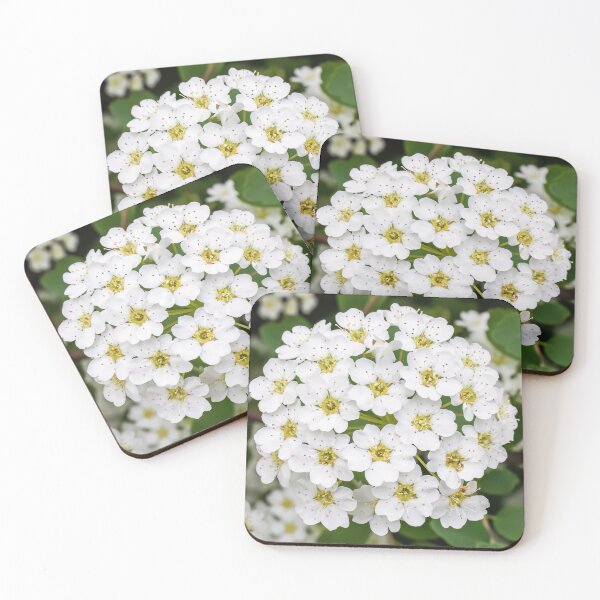 Item preview, Bridal Wreath Spirea Blossoms, Spiraea Prunifolia designed and sold by LINDA MCKUSICK.