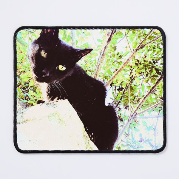 Item preview, Black cat watching from wall designed and sold by Dryft7.