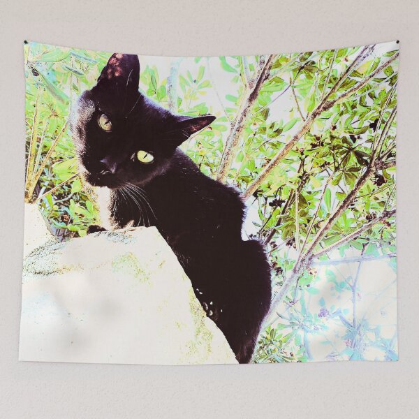 Item preview, Black cat watching from wall designed and sold by Dryft7.