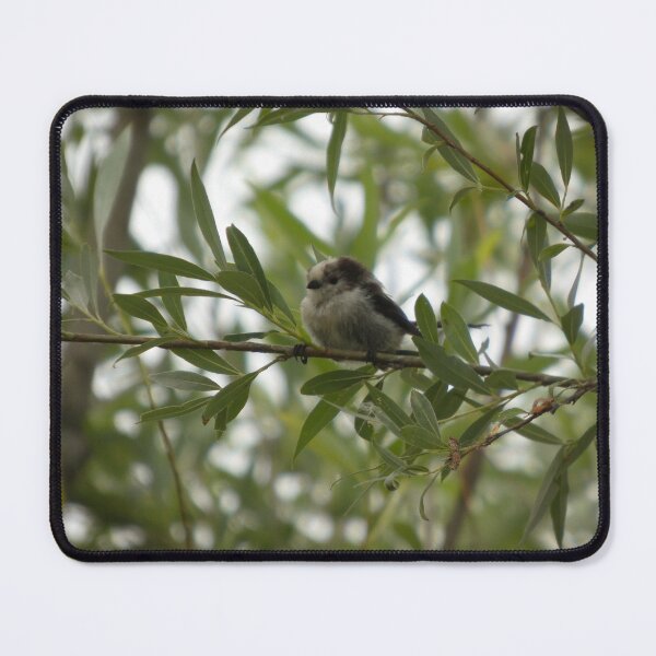 Item preview, Long-Tailed Tit Fledgling - Woodland Nature Photography Print designed and sold by tothkataphoto.
