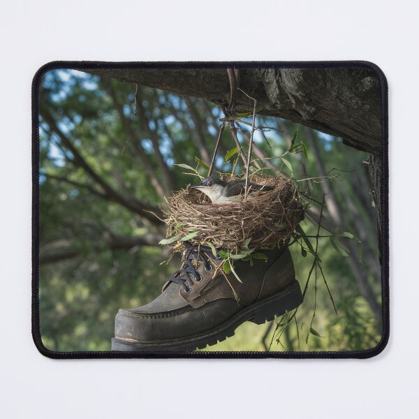 Item preview, Whimsical Bird Nesting in Boot  designed and sold by AnimalAirtistry.