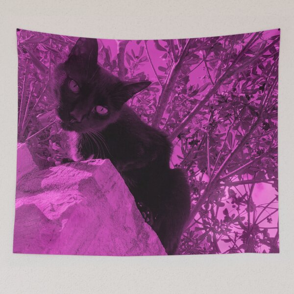 Item preview, Black cat watching from wall, pink edit designed and sold by Dryft7.