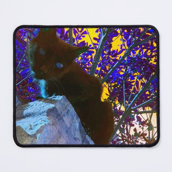 Item preview, Black cat watching from wall, surrealistic colors designed and sold by Dryft7.