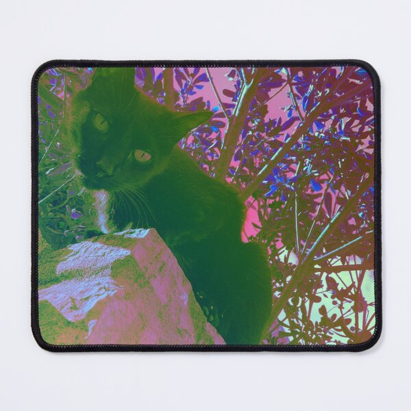 Item preview, Black cat watching from wall, surrealistic colors designed and sold by Dryft7.