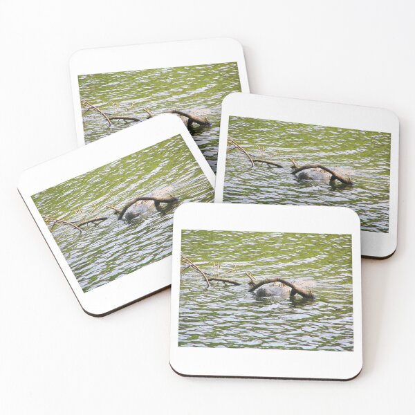Item preview, The Stealth of an Alligators Glare Paynes Prairie Artistic Photograph designed and sold by Shannon Sears .