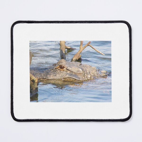 Item preview, The Eye of the Alligator Paynes Prairie Artistic Photograph designed and sold by Shannon Sears .