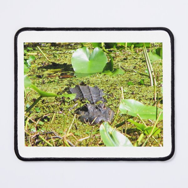 Item preview, Lurking Gator Amid the Marshes Lilypad's Paynes Prairie Artistic Photograph designed and sold by Shannon Sears .