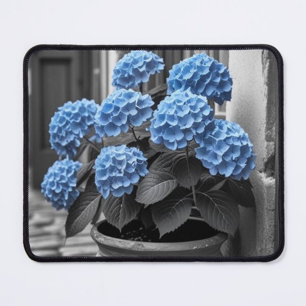 Item preview, Blue Hydrangea – Selective Color Street Photo designed and sold by SmyrnaArtGalery.
