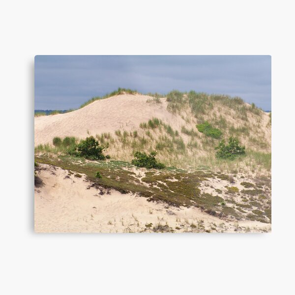 Item preview, Montauk Walking Dunes designed and sold by Dandelion Dilluvio.