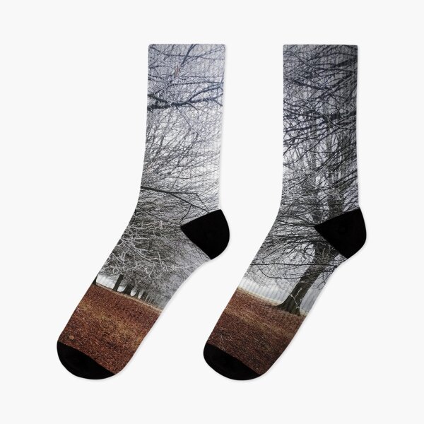 Item preview, Winter Avenue designed and sold by Murph's Images.