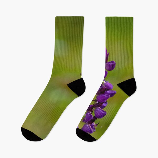 Item preview, Bee at lupine flower designed and sold by Photopat.