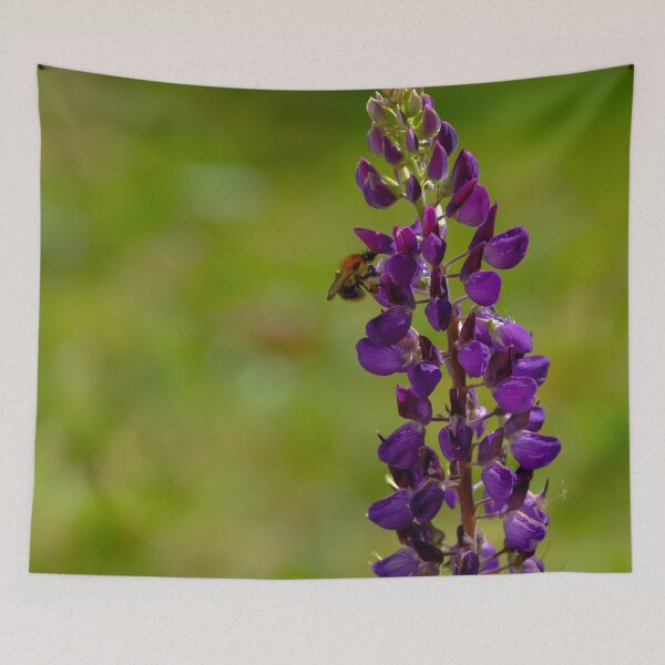 Item preview, Bee at lupine flower designed and sold by Photopat.