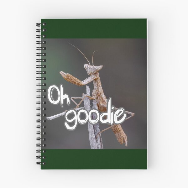 Item preview, Oh Goodie designed and sold by Surreallytee.