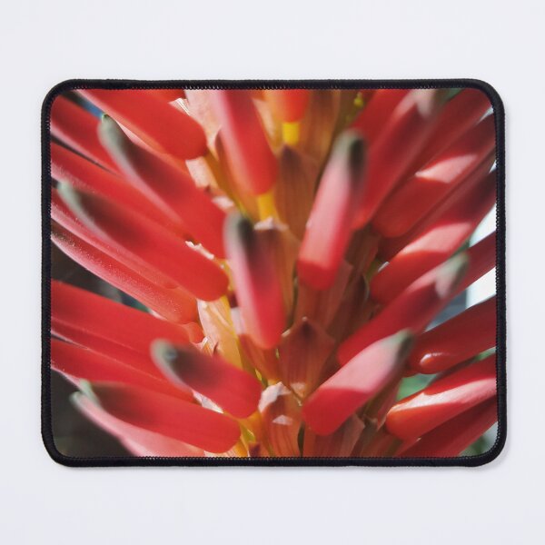 Item preview, aloe vera in bloom designed and sold by Fotosminimas.