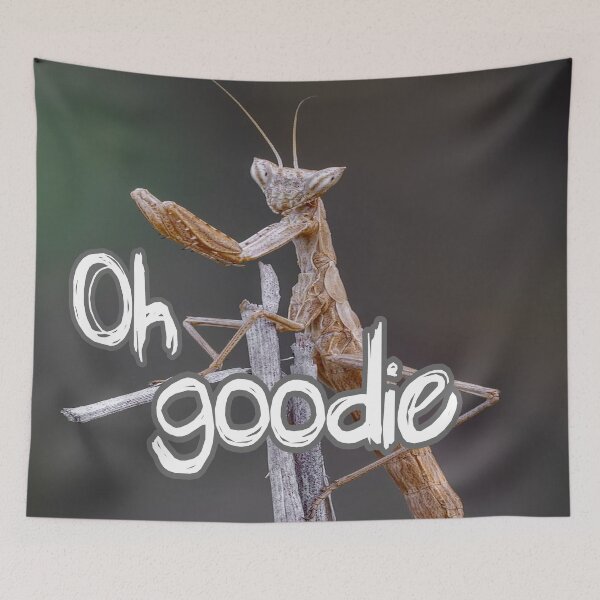 Item preview, Oh Goodie designed and sold by Surreallytee.