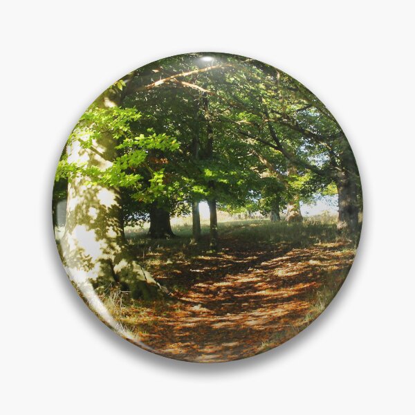 Artikelvorschau, Waldweg entworfen und verkauft von Murph's Images.