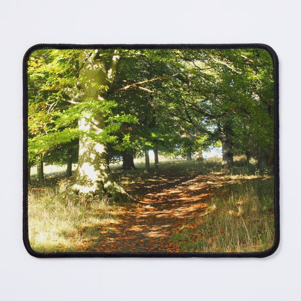 Item preview, Woodland Path designed and sold by Murph's Images.