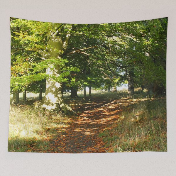 Item preview, Woodland Path designed and sold by Murph's Images.