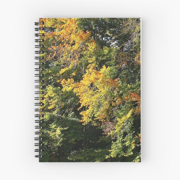 Item preview, Early Autumn designed and sold by Murph's Images.