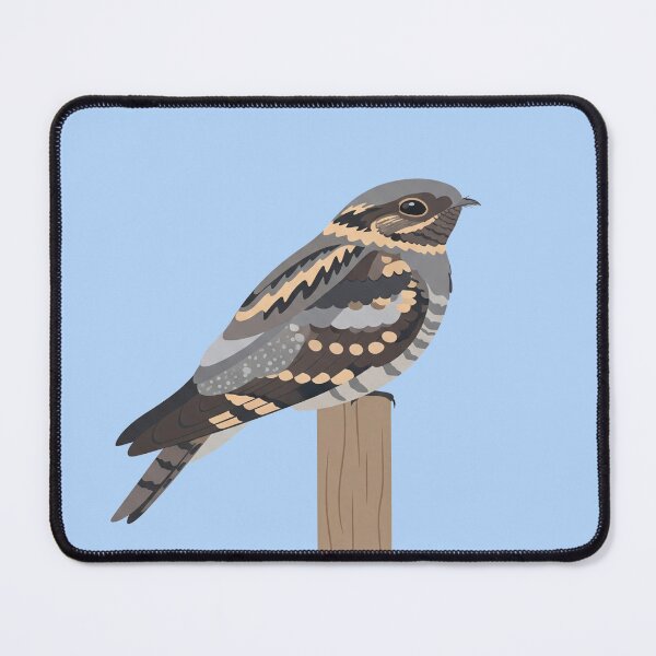 Item preview, The European Nightjar - Minimalist Nightjar Art designed and sold by TheArtEngineer.