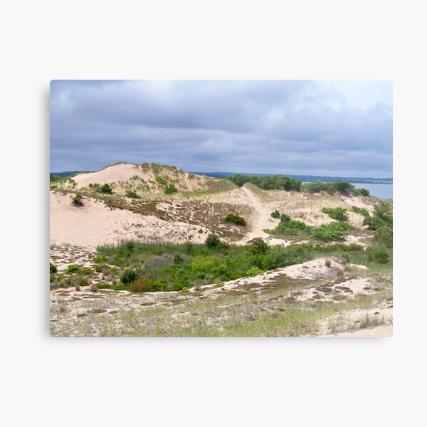 Item preview, Montauk Walking Dunes designed and sold by Dandelion Dilluvio.