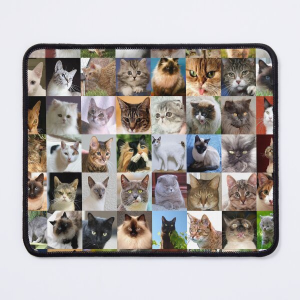 Item preview, Cats designed and sold by Montage-Madness.
