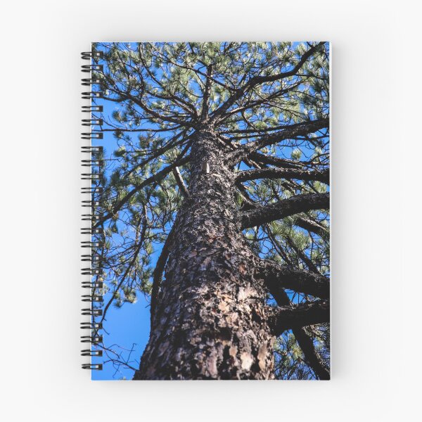 Item preview, Looking up is so beautiful at times  designed and sold by Nina  Matthews Photography.