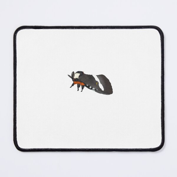 Item preview, Buck Moth (Hemileuca Maia) Cute Moth Sticker designed and sold by EnchantedMoths.