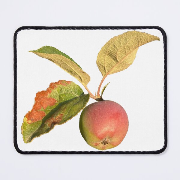 Item preview, Apple nature photography designed and sold by Halcja.