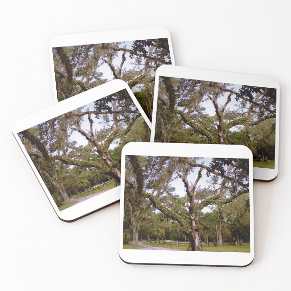 Item preview, Ferns are Taking the Worn Tree New Smyrna Sugar Mill Ruins Artistic Photograph designed and sold by Shannon Sears .
