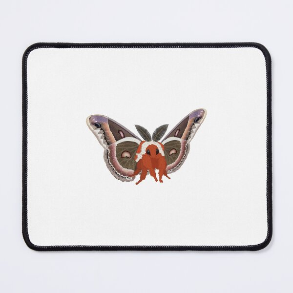 Item preview, Cute Fluffy Cecropia Moth (Hyalophora Cecropia) designed and sold by EnchantedMoths.