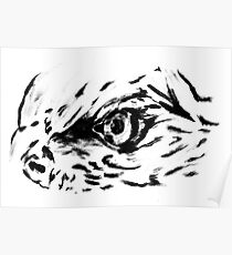 Sketch 77 - Eagle eye Poster