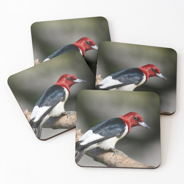 Item preview, Hey There designed and sold by lisapicklepizza.