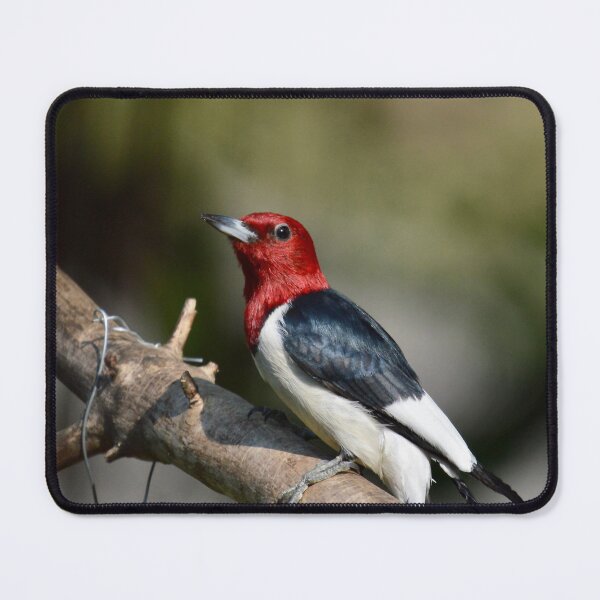 Item preview, Red Headed Beauty designed and sold by lisapicklepizza.