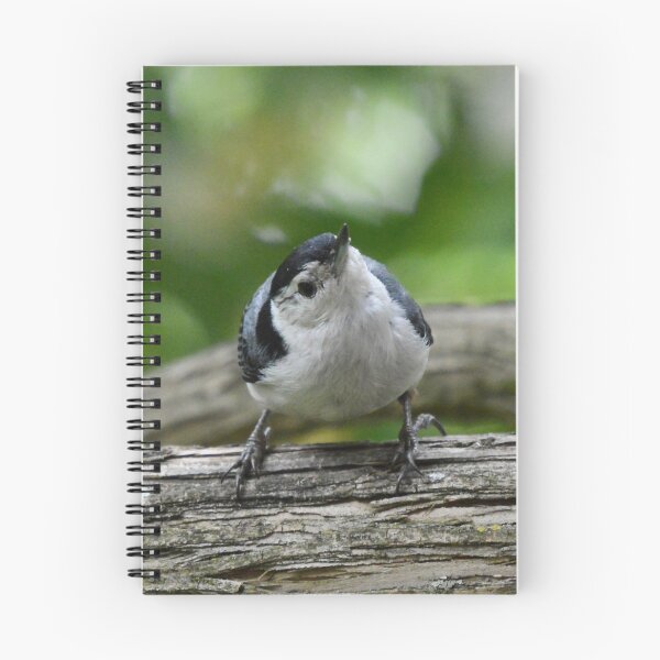 Item preview, Nuthatch designed and sold by lisapicklepizza.