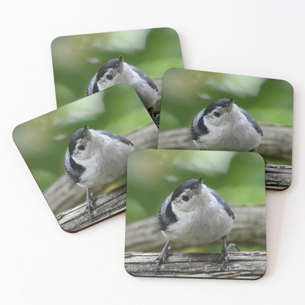 Item preview, Nuthatch designed and sold by lisapicklepizza.