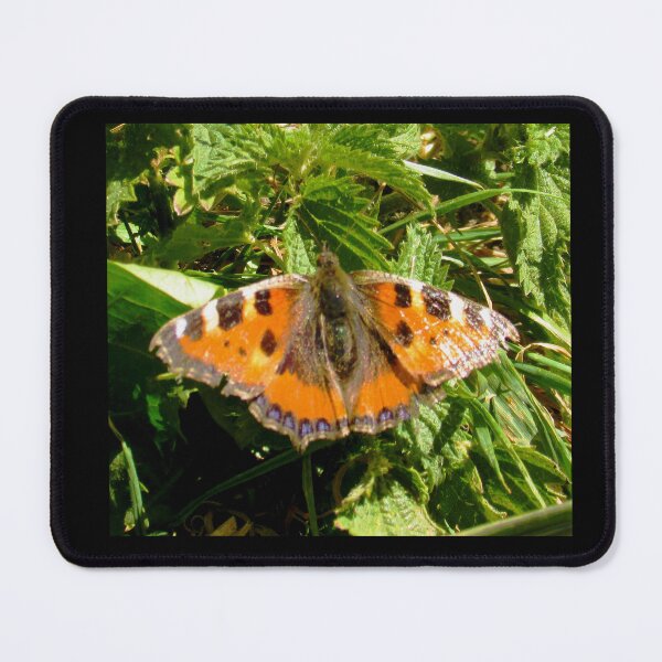 Item preview, Small Tortoiseshell butterfly design designed and sold by Swirling_UniverseShop.