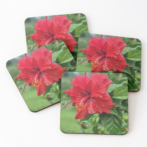 Item preview, Red Hibiscus designed and sold by Isle-Trails.