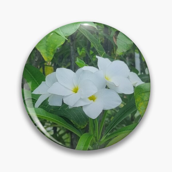 Item preview, Frangipani designed and sold by Isle-Trails.
