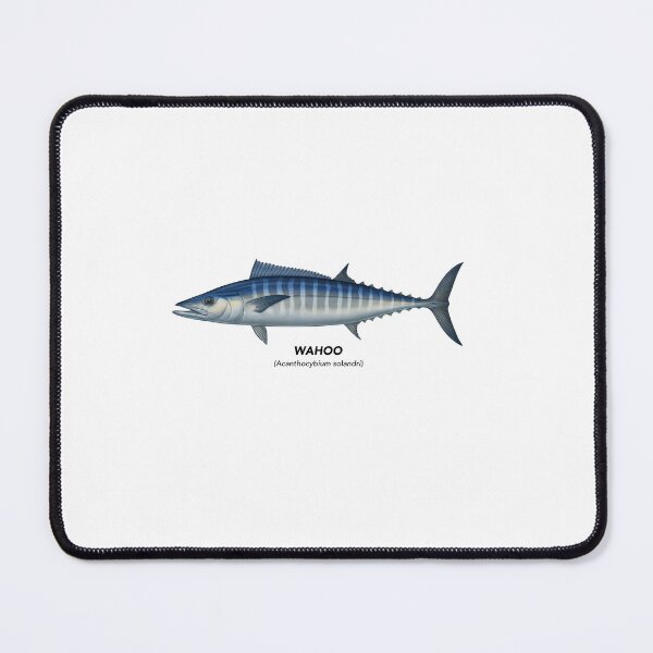 Item preview, Wahoo - California Marine Life designed and sold by CaliforniaVibe.