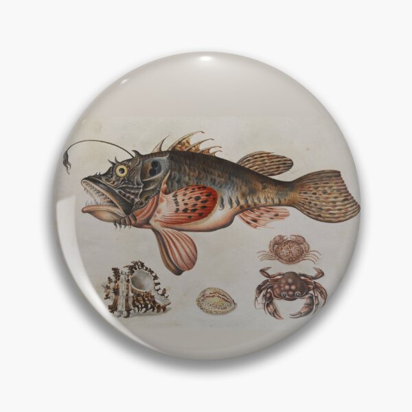 Item preview, Deep-sea Fish, Crabs, and Sea Snails by Maria Sibylla Merian designed and sold by Amanda1775.
