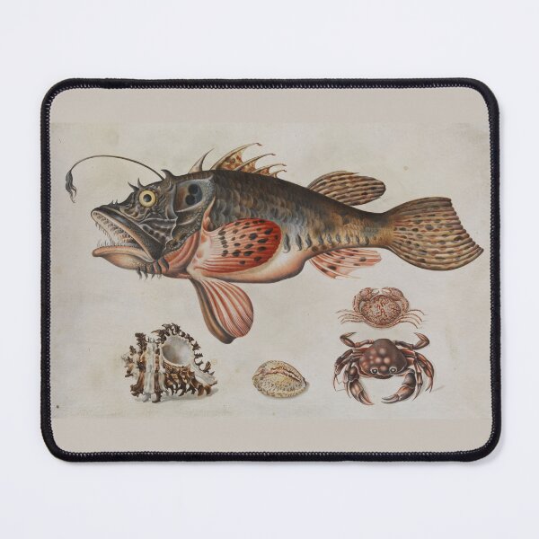 Item preview, Deep-sea Fish, Crabs, and Sea Snails by Maria Sibylla Merian designed and sold by Amanda1775.