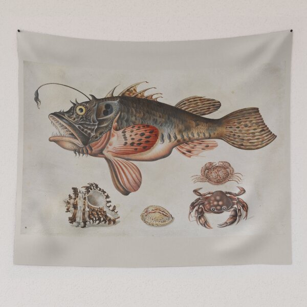 Item preview, Deep-sea Fish, Crabs, and Sea Snails by Maria Sibylla Merian designed and sold by Amanda1775.