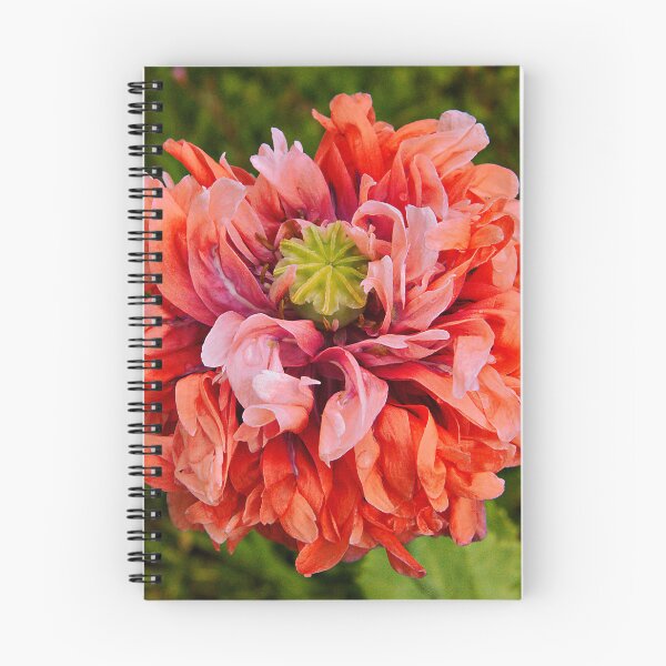 Item preview, Carnation Poppy in a Somerset Meadow designed and sold by RJKYTE1970.