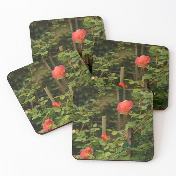 Item preview, Rose Garden designed and sold by Yard Cards.
