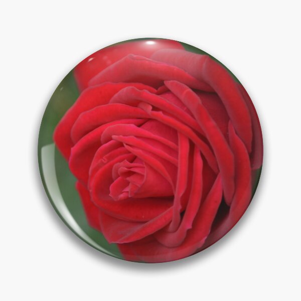 Item preview, Red Rose designed and sold by Yard Cards.