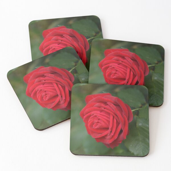 Item preview, Red Rose designed and sold by Yard Cards.