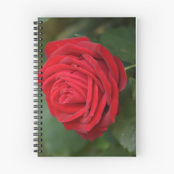 Item preview, Red Rose designed and sold by Yard Cards.