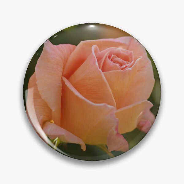 Item preview, Pink Rose Blossom designed and sold by Yard Cards.