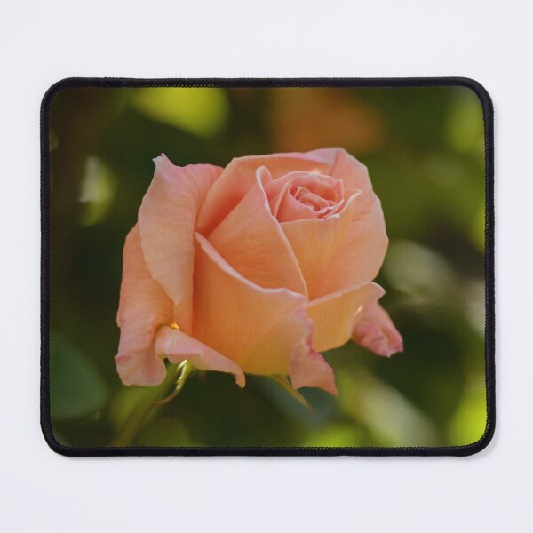 Item preview, Pink Rose Blossom designed and sold by Yard Cards.